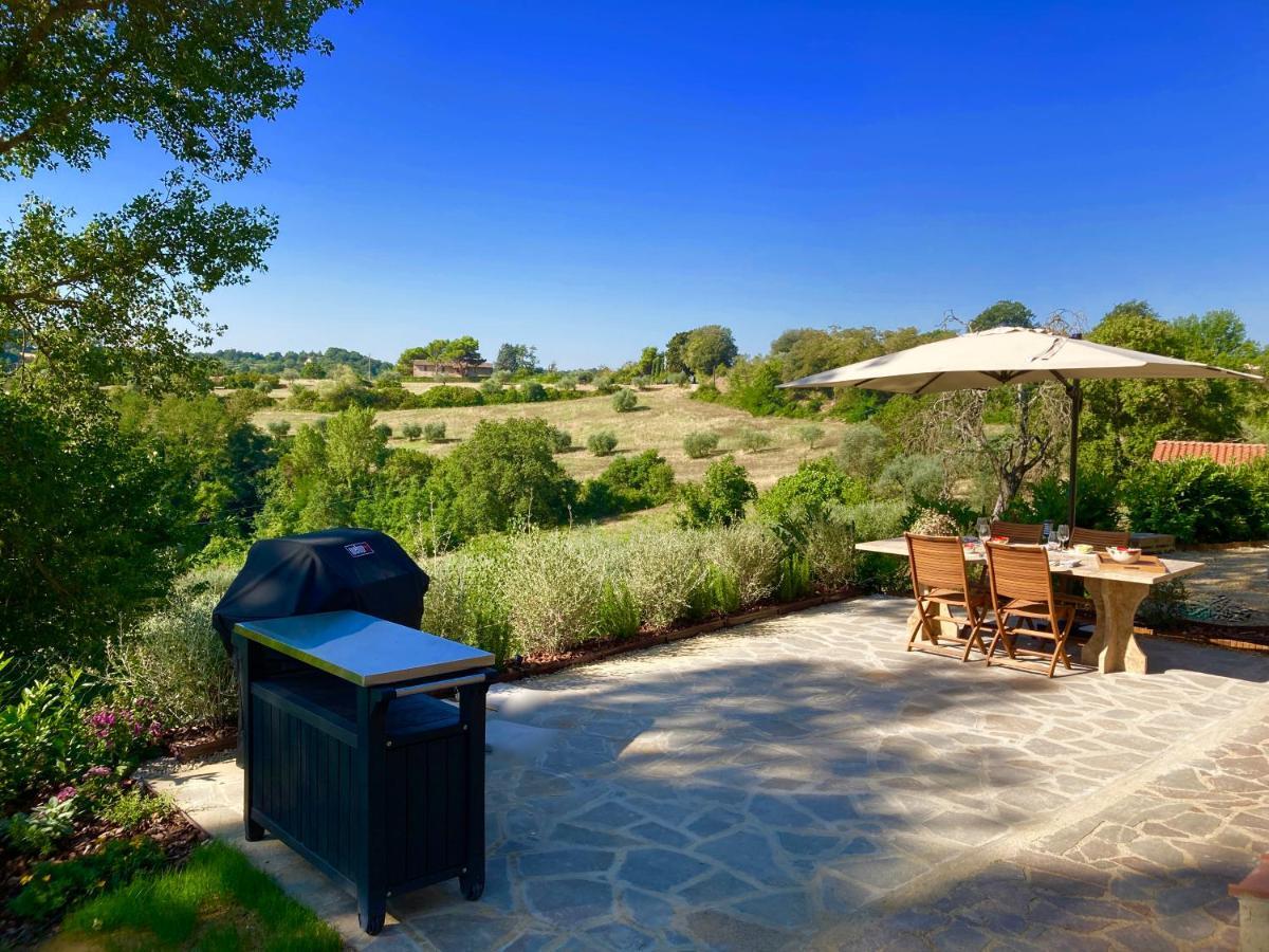 Grove Cottage: Immersed In Nature & Close To Town Città della Pieve Екстериор снимка