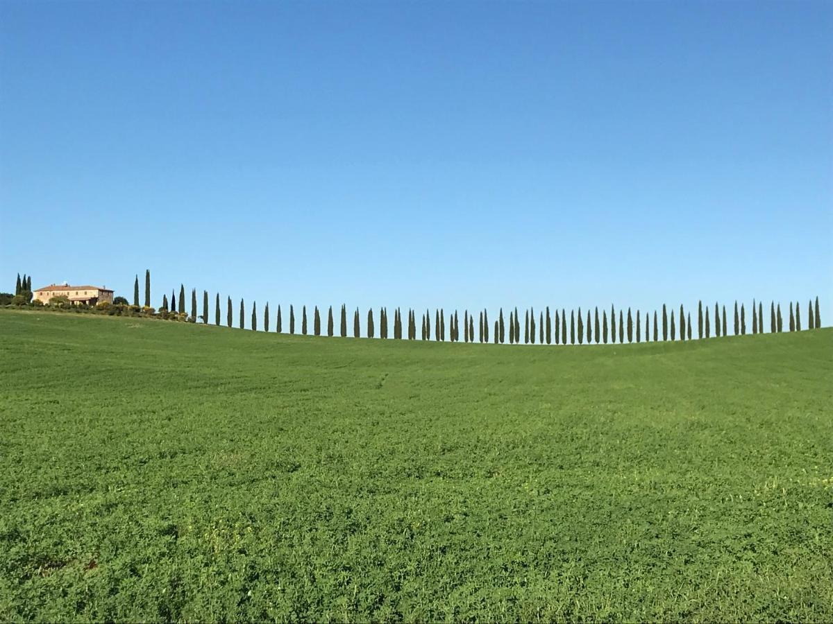 Grove Cottage: Immersed In Nature & Close To Town Città della Pieve Екстериор снимка