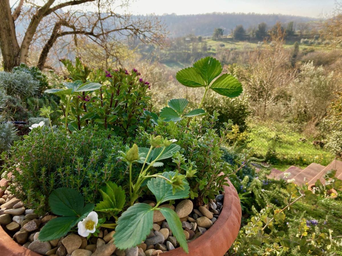 Grove Cottage: Immersed In Nature & Close To Town Città della Pieve Екстериор снимка