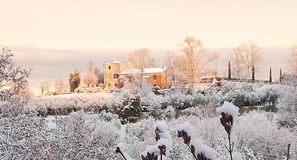 Grove Cottage: Immersed In Nature & Close To Town Città della Pieve Екстериор снимка