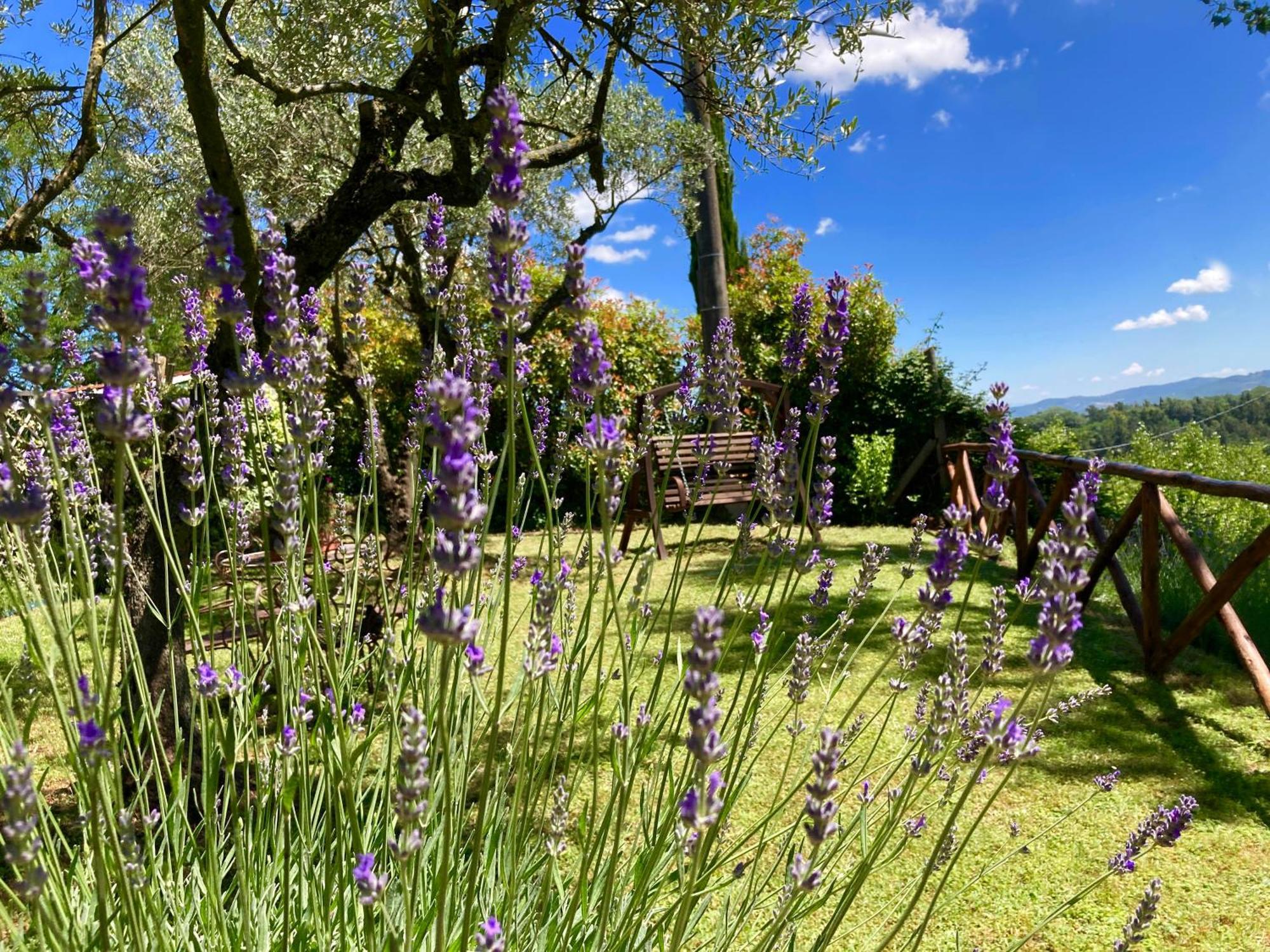 Grove Cottage: Immersed In Nature & Close To Town Città della Pieve Екстериор снимка